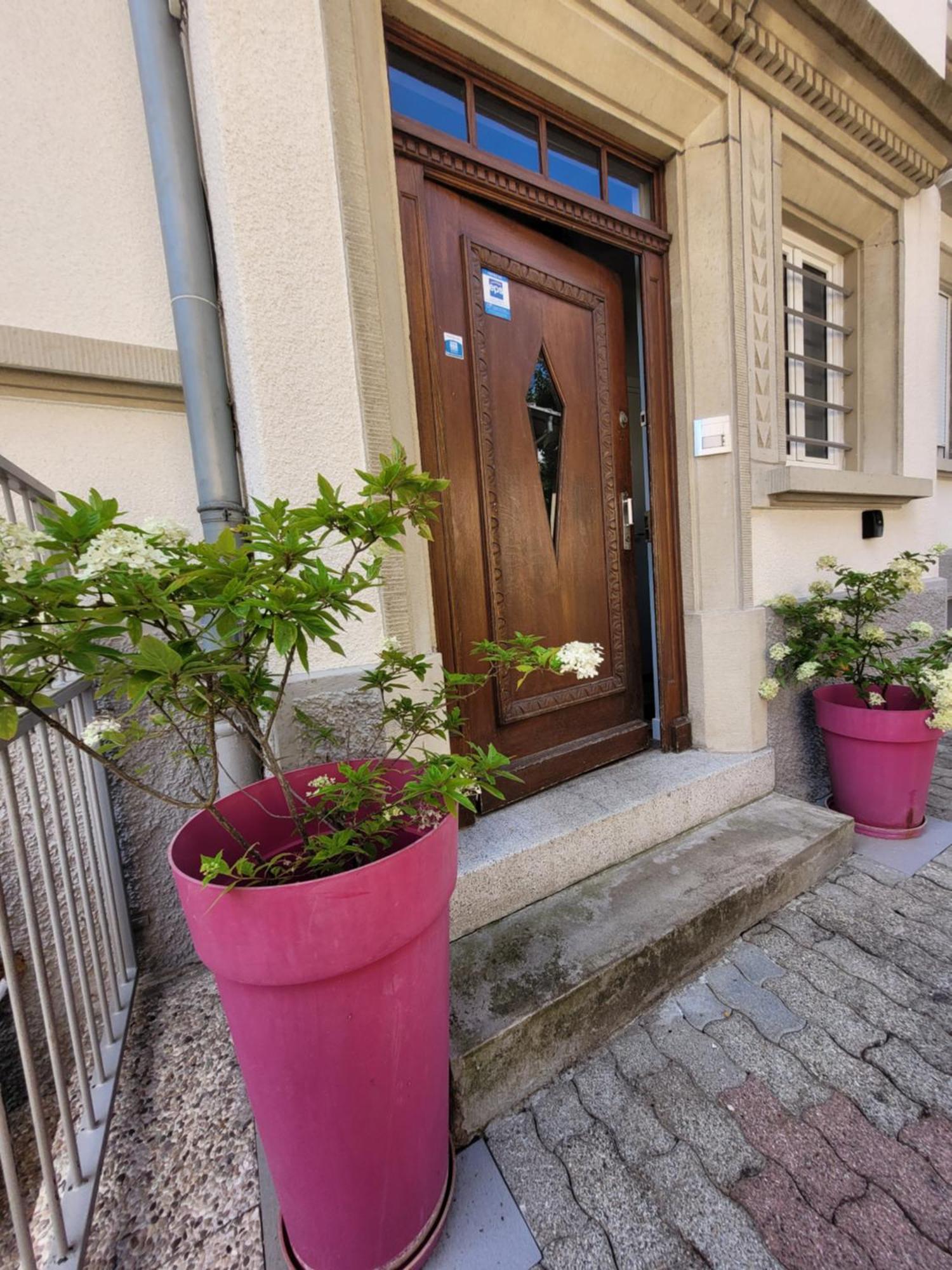 Le Cocon D'Emma, Appartement Bourgeois Avec Terrasse, Et Parking Gratuit Dans Maison De Maitre Страсбург Екстер'єр фото